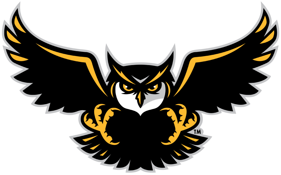 Kennesaw State Owls 2012-Pres Alternate Logo v4 diy fabric transfer